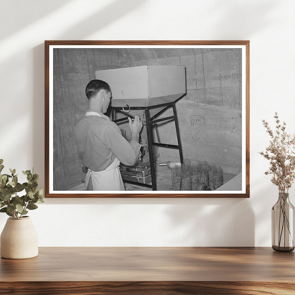 Workers Packing Pinto Beans in San Angelo Texas 1939