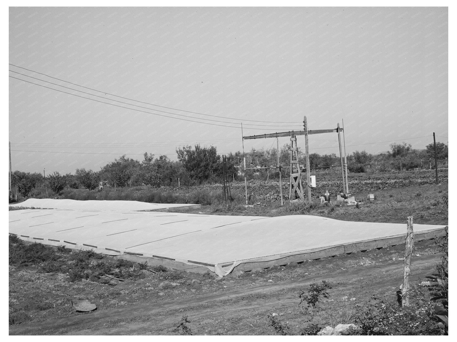 Frame Gardens in Tom Green County Texas November 1939