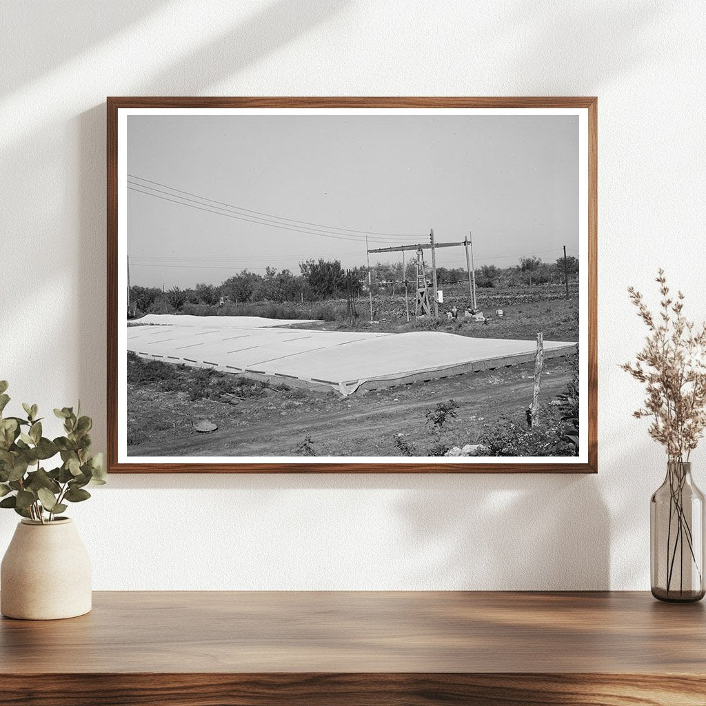 Frame Gardens in Tom Green County Texas November 1939