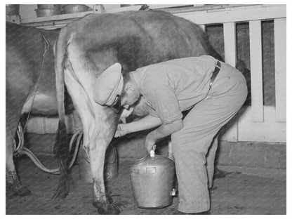 Vintage 1939 Electric Milking Process in Texas Dairy Farm