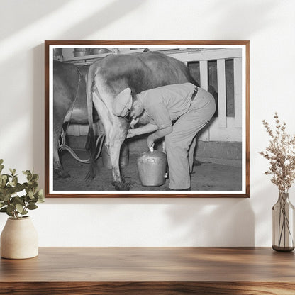 Vintage 1939 Electric Milking Process in Texas Dairy Farm