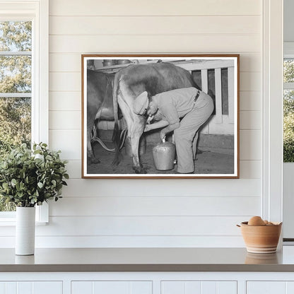 Vintage 1939 Electric Milking Process in Texas Dairy Farm