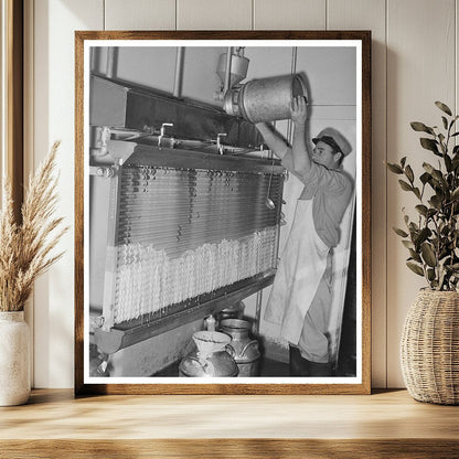 Cooling Milk at a Texas Dairy November 1939