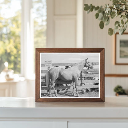 Palomino Mare Auction Sale El Dorado Texas 1939