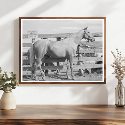 Palomino Mare Auction Sale El Dorado Texas 1939