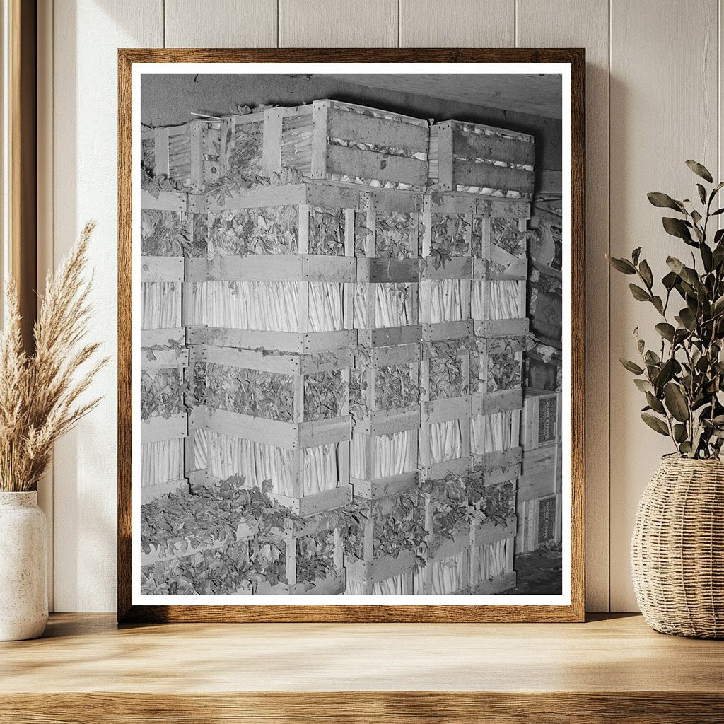Celery Crates in Wholesale Grocery San Angelo 1939