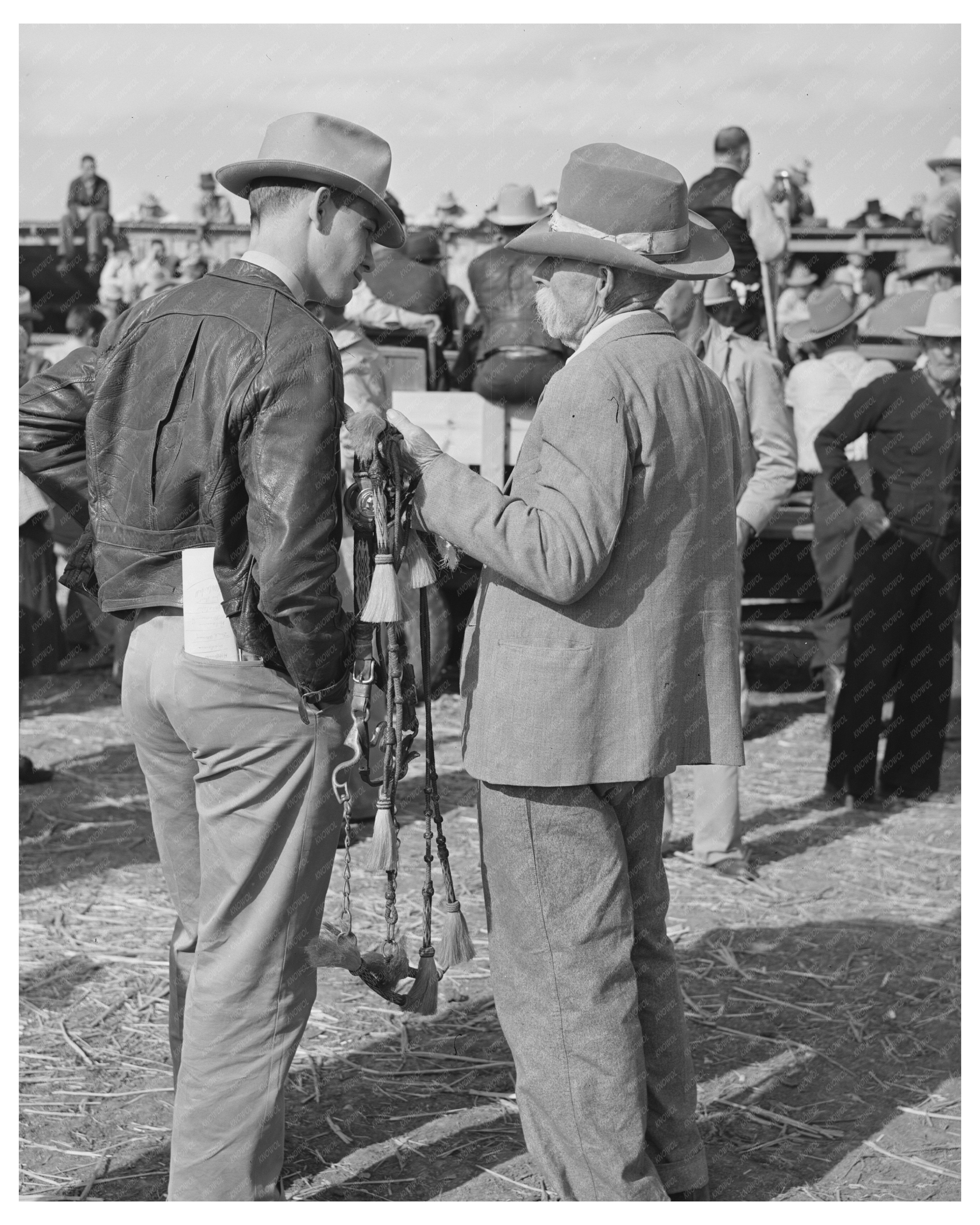 Palomino Horse Auction in El Dorado Texas 1939