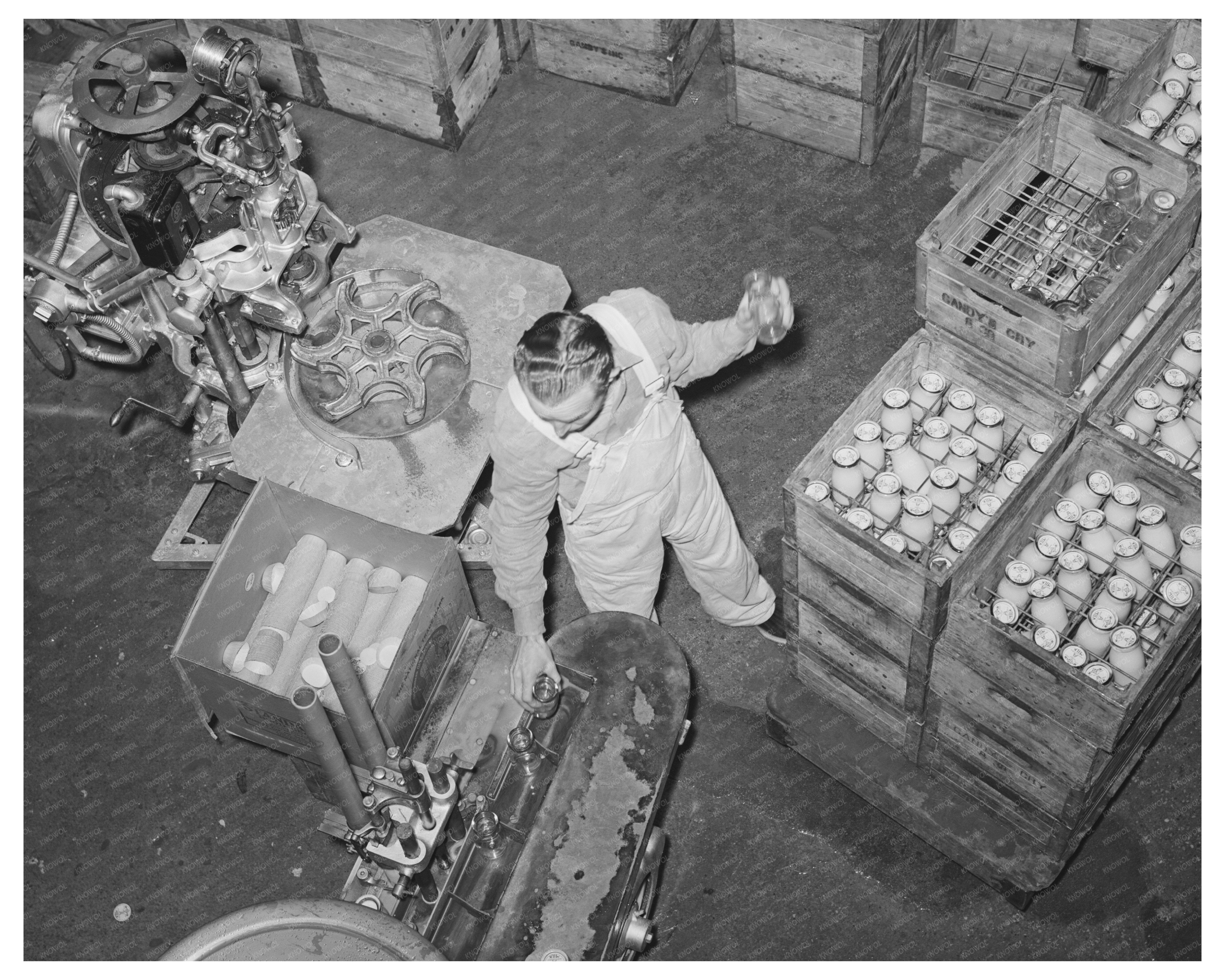 Filling Bottles with Cream in San Angelo Texas 1939