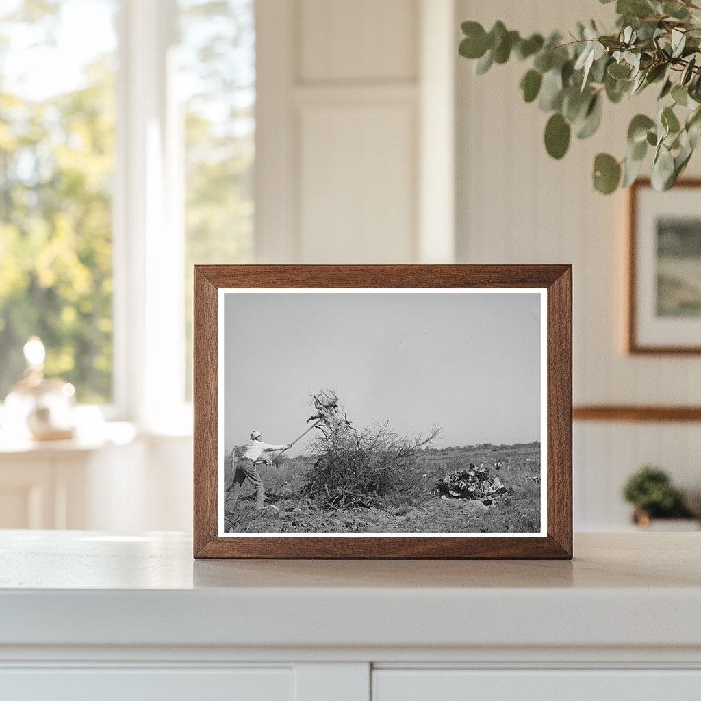 Laborers Clearing Land in Tom Green County Texas 1939