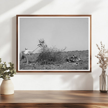 Laborers Clearing Land in Tom Green County Texas 1939