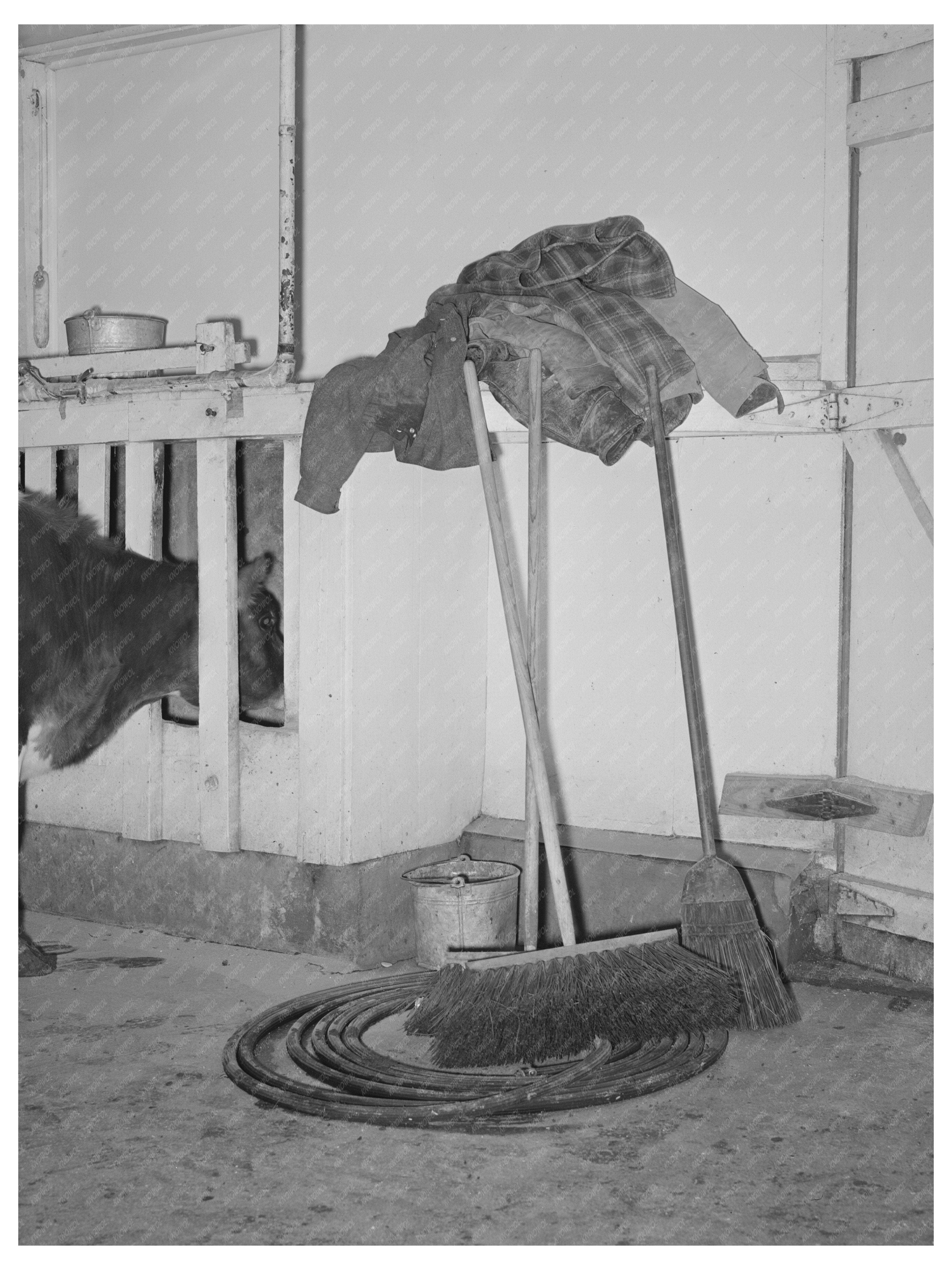 Milking House Equipment Tom Green County Texas 1939