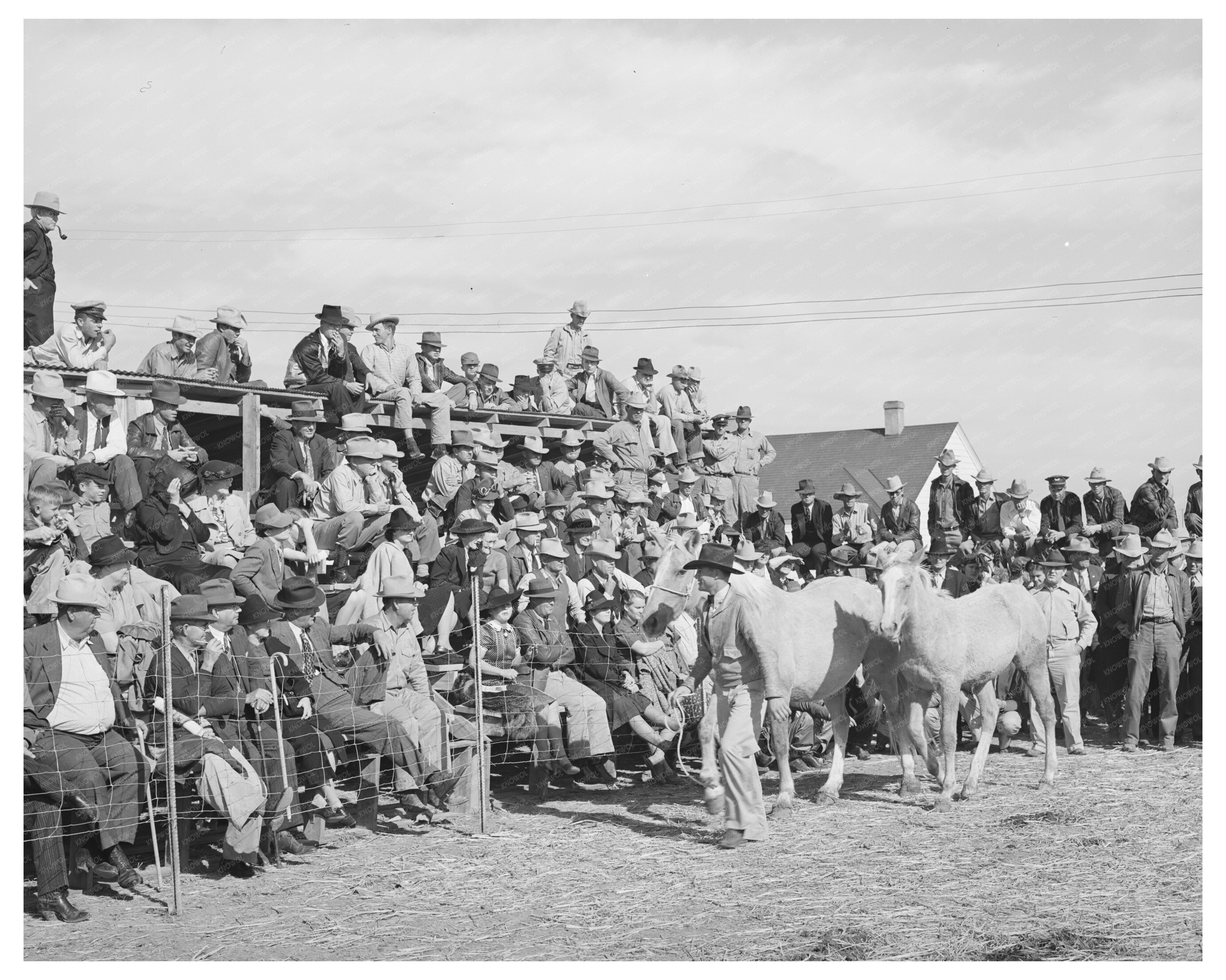 Horse Auction Crowd El Dorado Texas November 1939