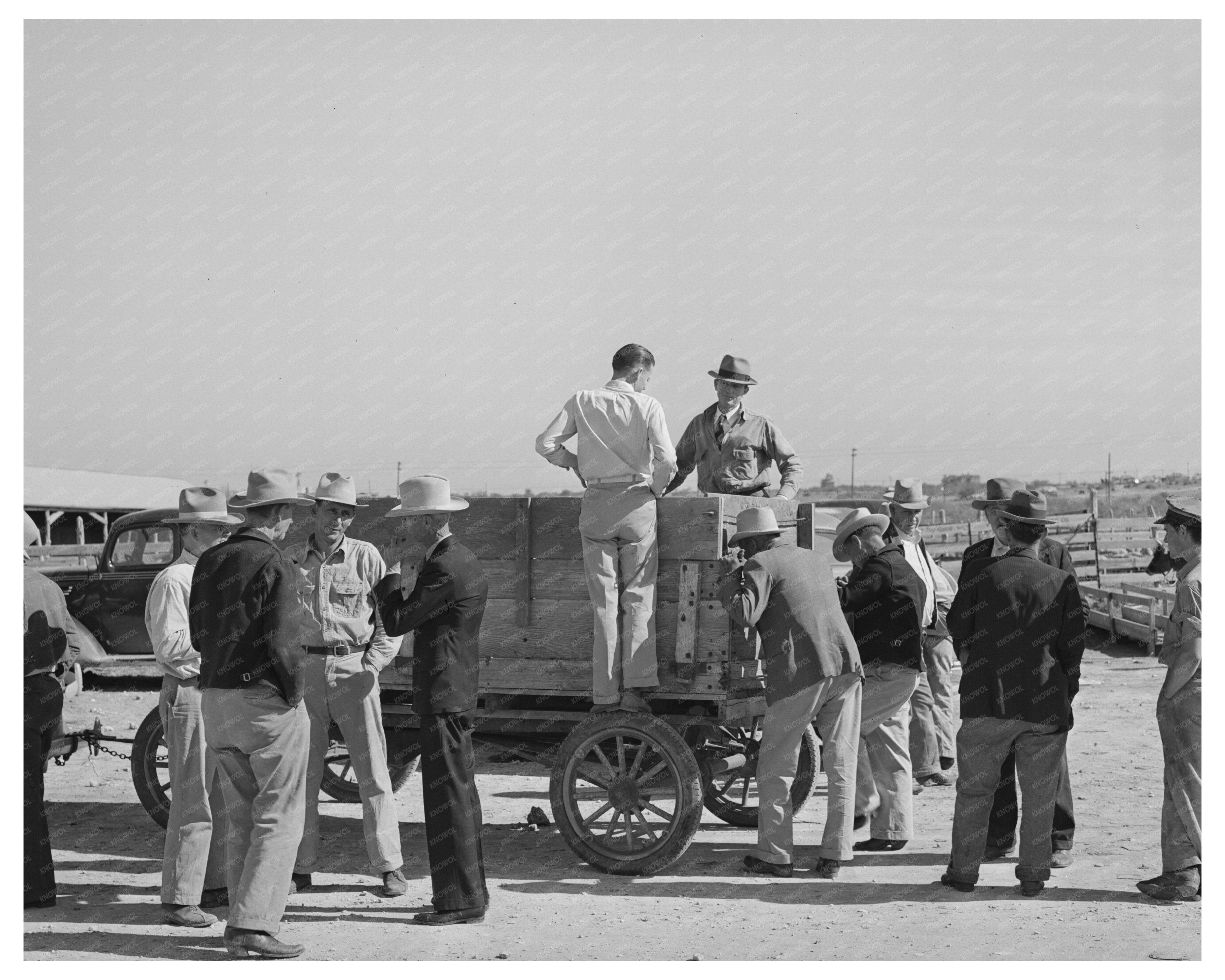 San Angelo Livestock Auction November 1939