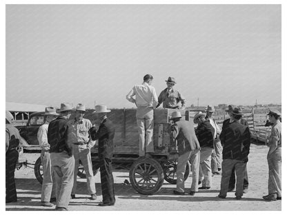 Livestock Auction in San Angelo Texas November 1939