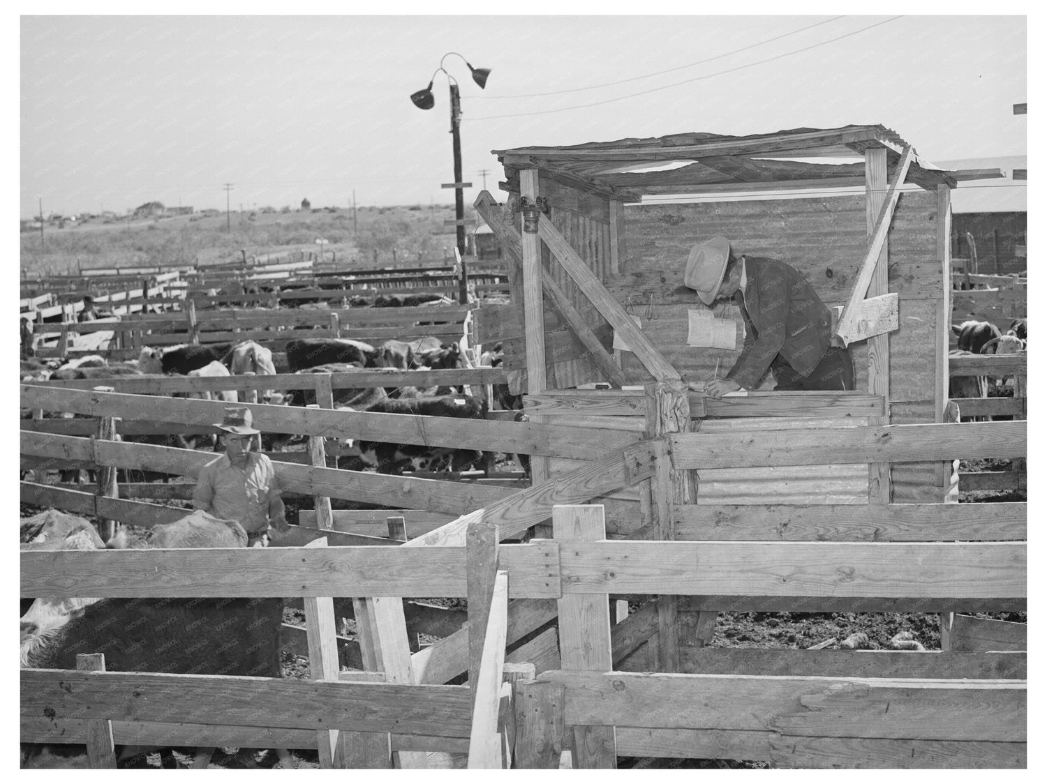 San Angelo Texas Livestock Auction November 1939 Vintage Photo