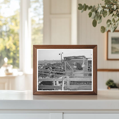 San Angelo Texas Livestock Auction November 1939 Vintage Photo