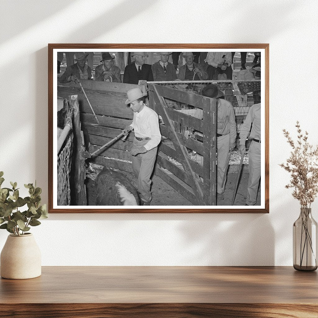 San Angelo Texas Livestock Auction Scene November 1939