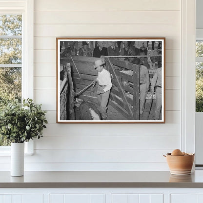 San Angelo Texas Livestock Auction Scene November 1939