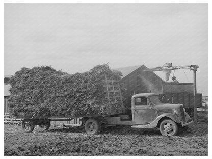 Dairy Operation in Tom Green County Texas 1939