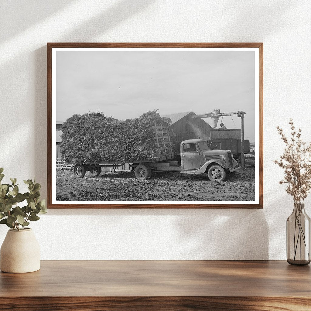 Dairy Operation in Tom Green County Texas 1939