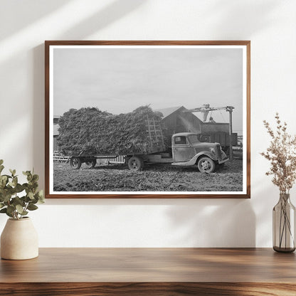 Dairy Operation in Tom Green County Texas 1939