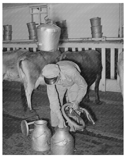 Vintage Milkman with Vacuum Milking Equipment 1939