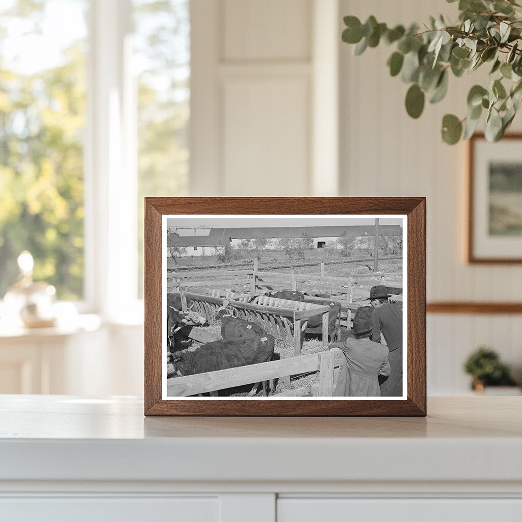 Men Observing Livestock in San Angelo Texas 1939