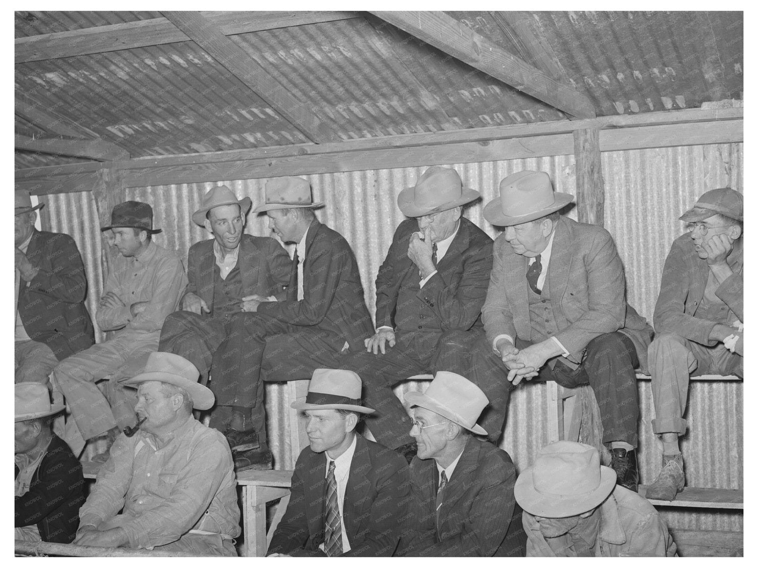 Spectators at San Angelo Livestock Auction November 1939