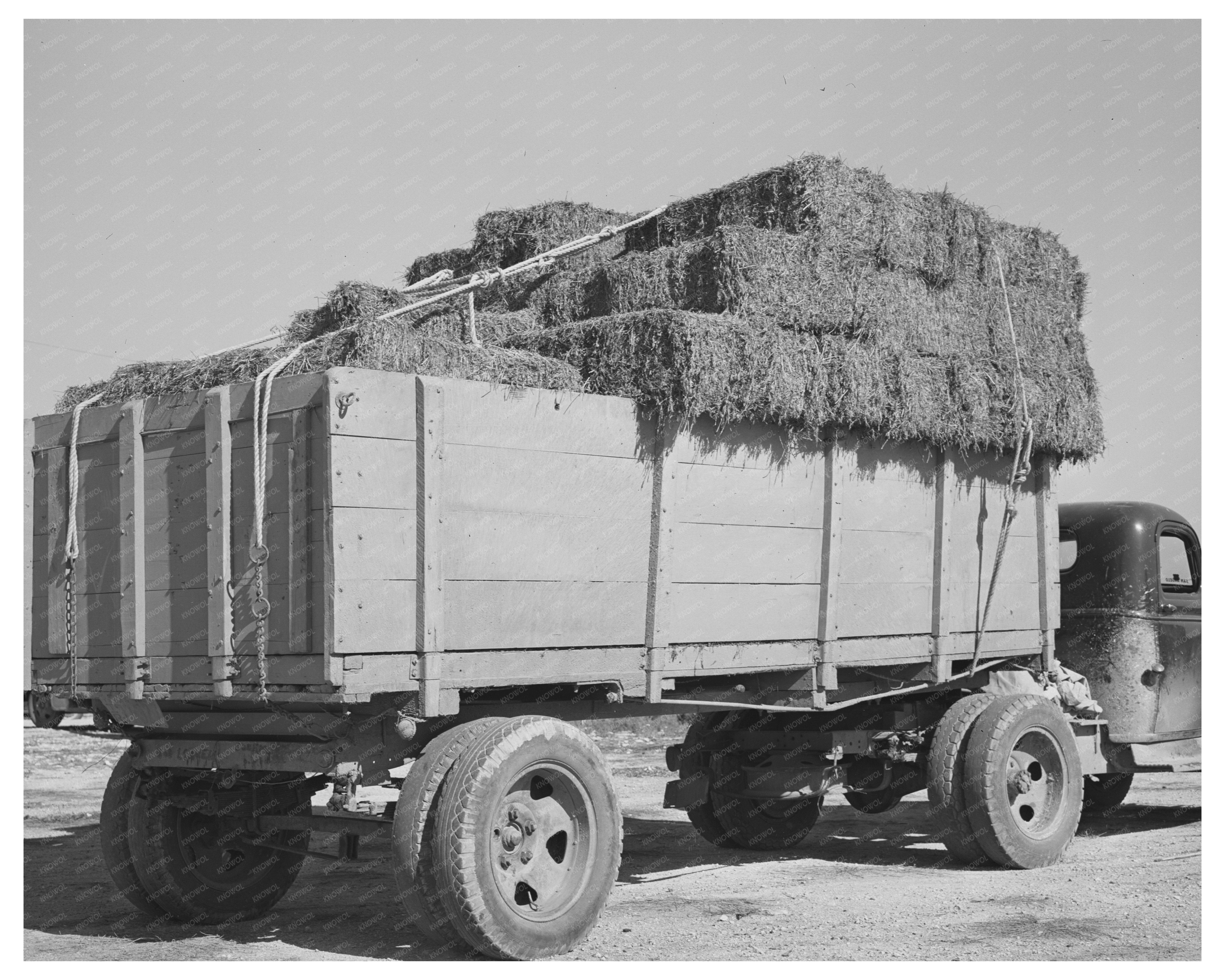 Truckload of Hay at San Angelo Livestock Auction 1939