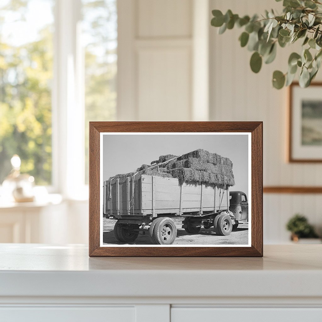 Vintage 1939 Truckload of Hay at Texas Livestock Auction
