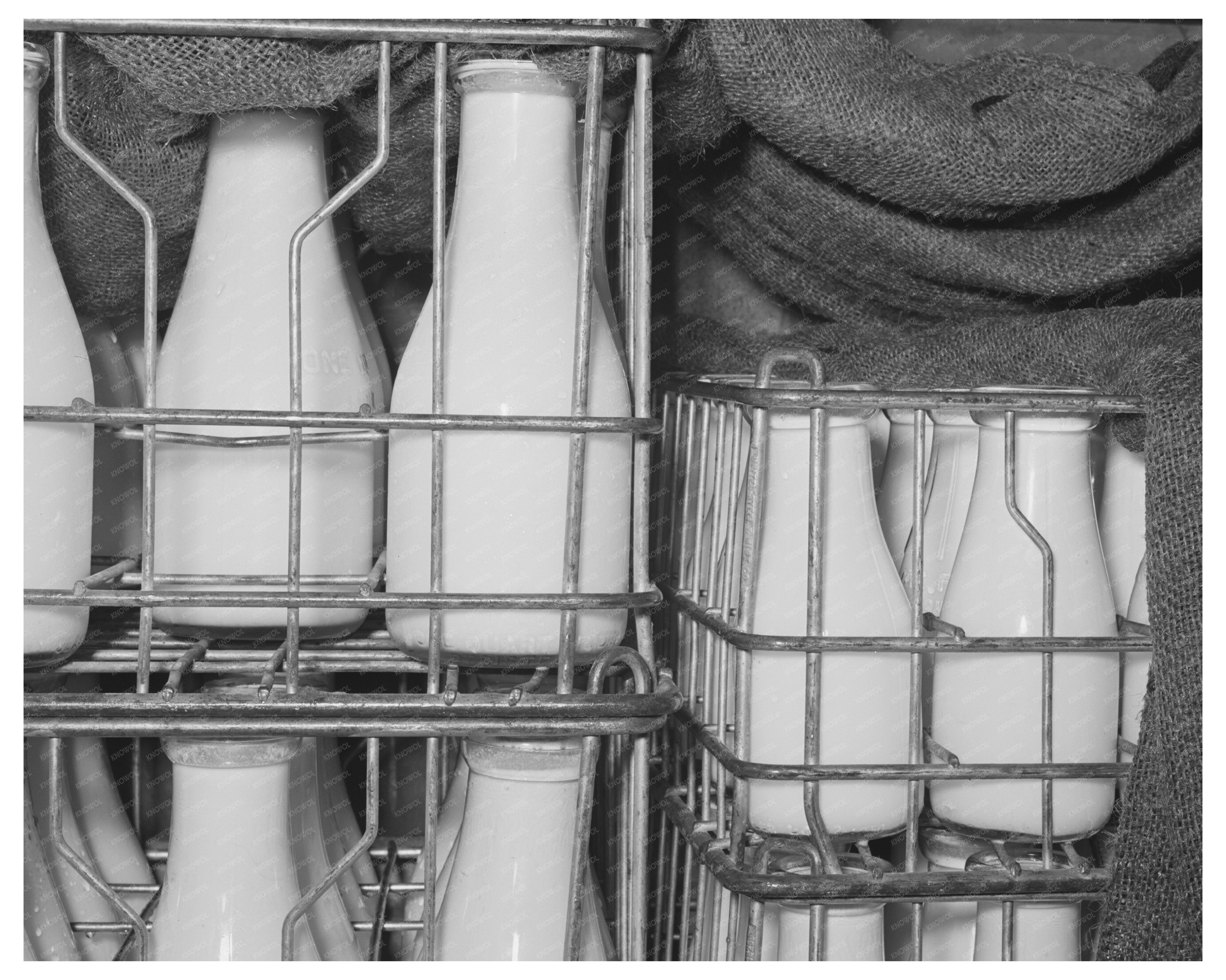 Farmers Automobile Interior with Milk Bags San Angelo 1939