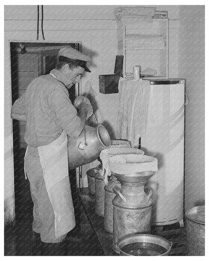 Straining Milk at Dairy in Tom Green County Texas 1939