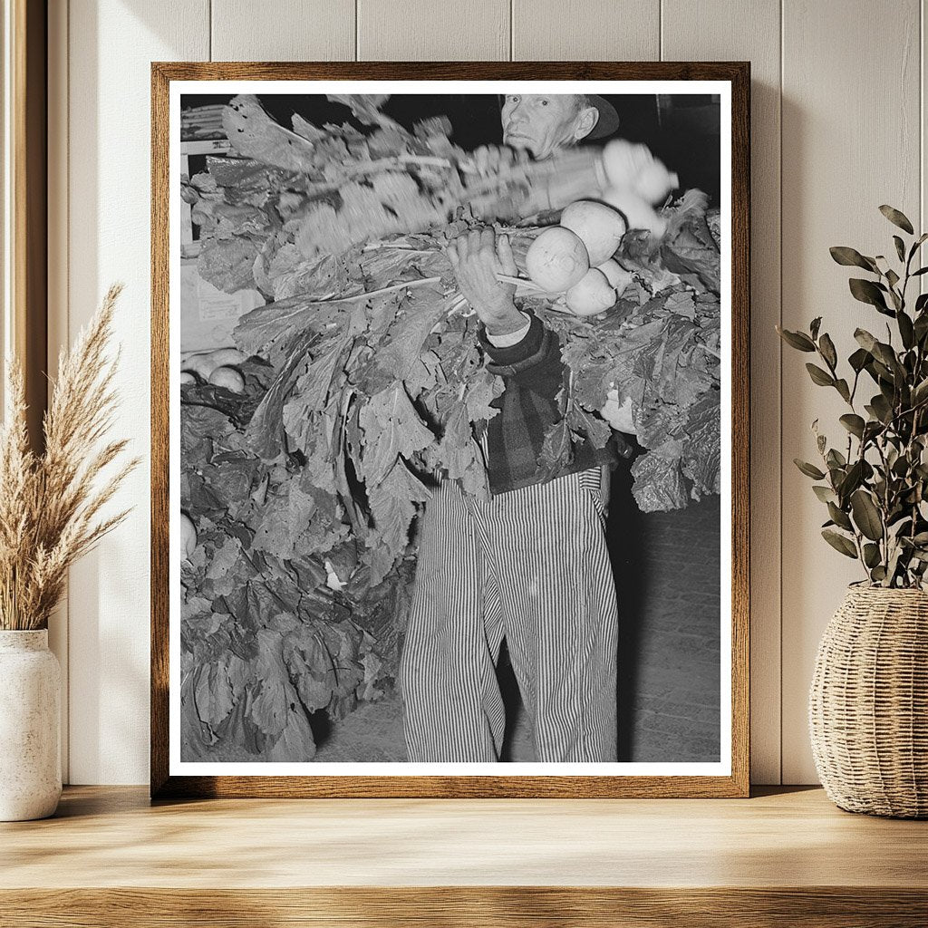 Truck Farmer with Turnips in San Angelo Texas November 1939