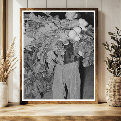 Truck Farmer with Turnips in San Angelo Texas November 1939