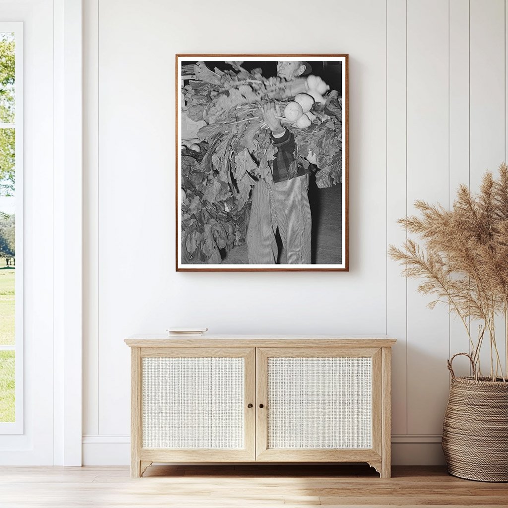 Truck Farmer with Turnips in San Angelo Texas November 1939