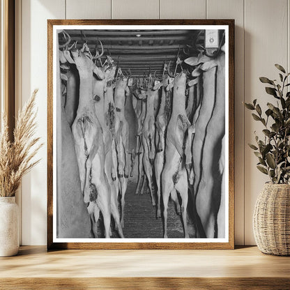 Vintage Deer Hunting Image from December 1939 in Texas