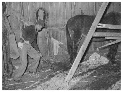 1944 Young Boy Cleaning Barn Manure in Oklahoma Farm