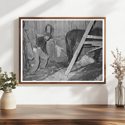 1944 Young Boy Cleaning Barn Manure in Oklahoma Farm