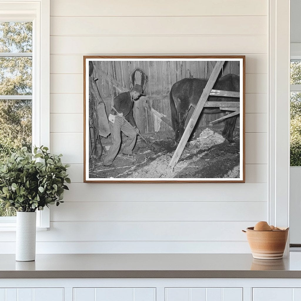 1944 Young Boy Cleaning Barn Manure in Oklahoma Farm