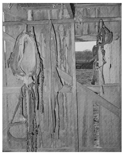 1944 Vintage Barn Image of Farm Harnesses and Overalls