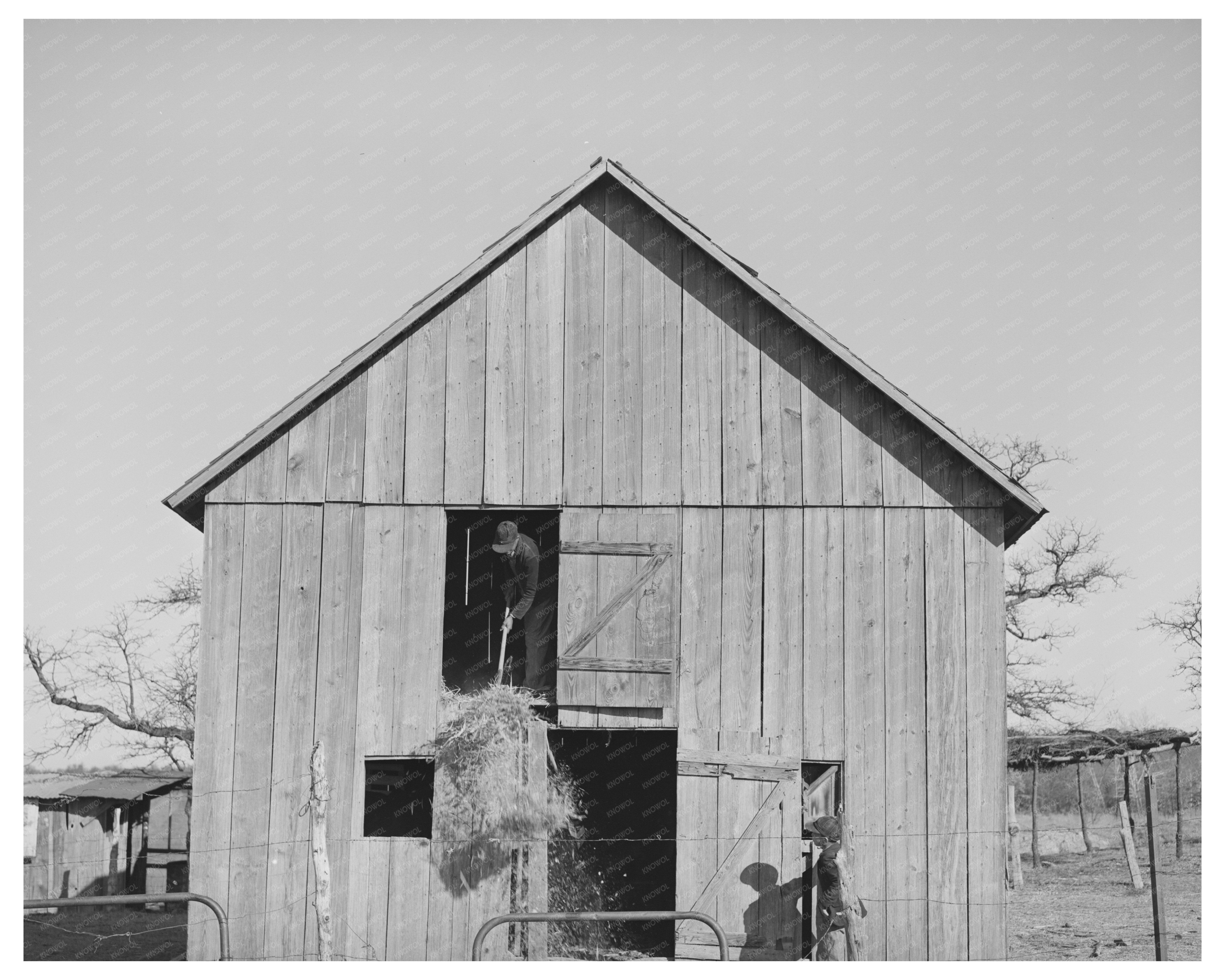 1940 Young African American Boy Farming in Oklahoma