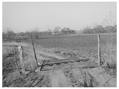 Cattle Guard in Creek County Oklahoma February 1940