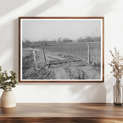 Cattle Guard in Creek County Oklahoma February 1940