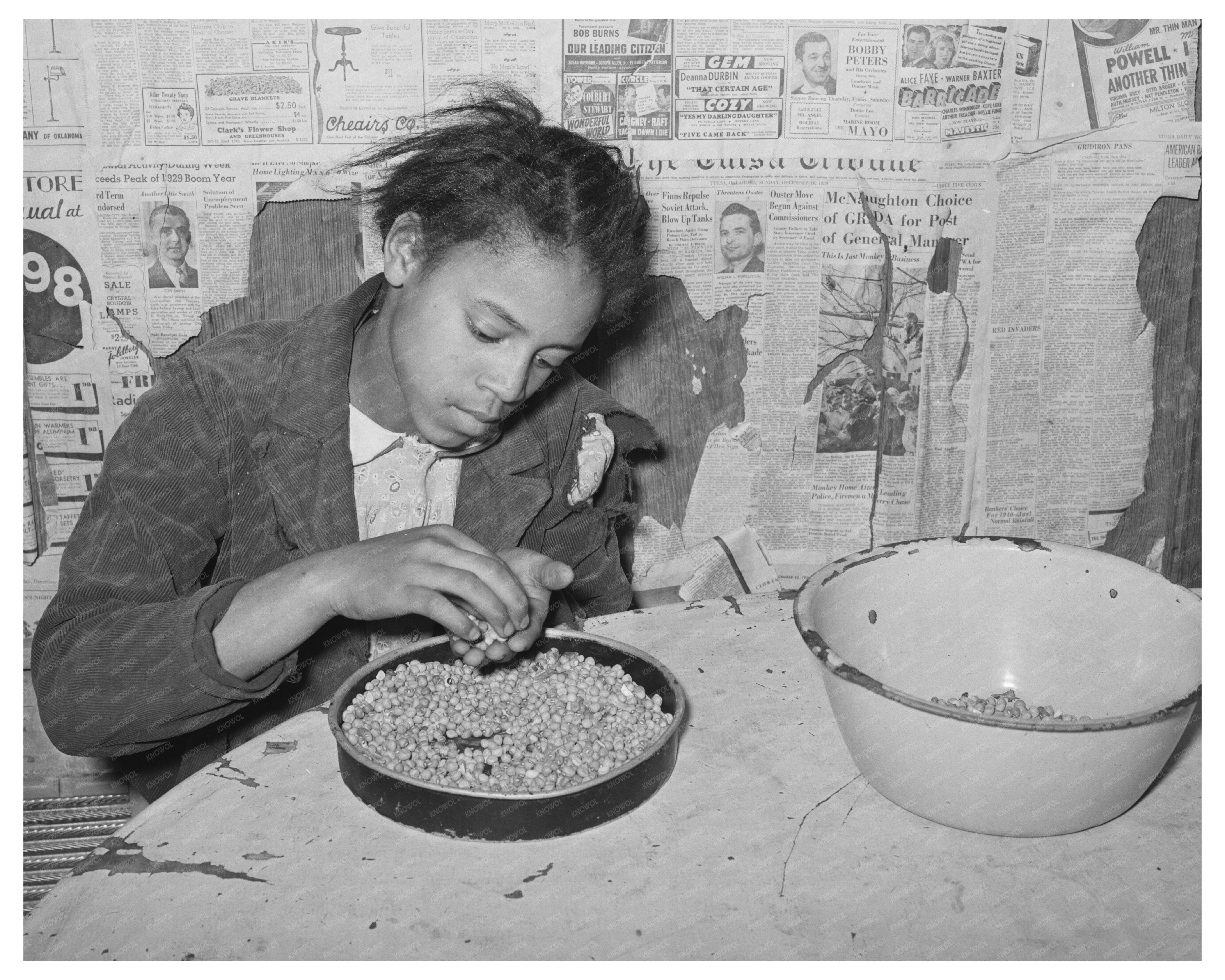 Daughter of Tenant Farmer Picking Peas February 1944