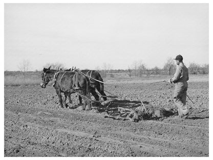 1944 Young Boy Harrowing Cropland Creek County Oklahoma