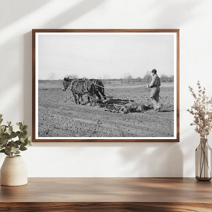1944 Young Boy Harrowing Cropland Creek County Oklahoma
