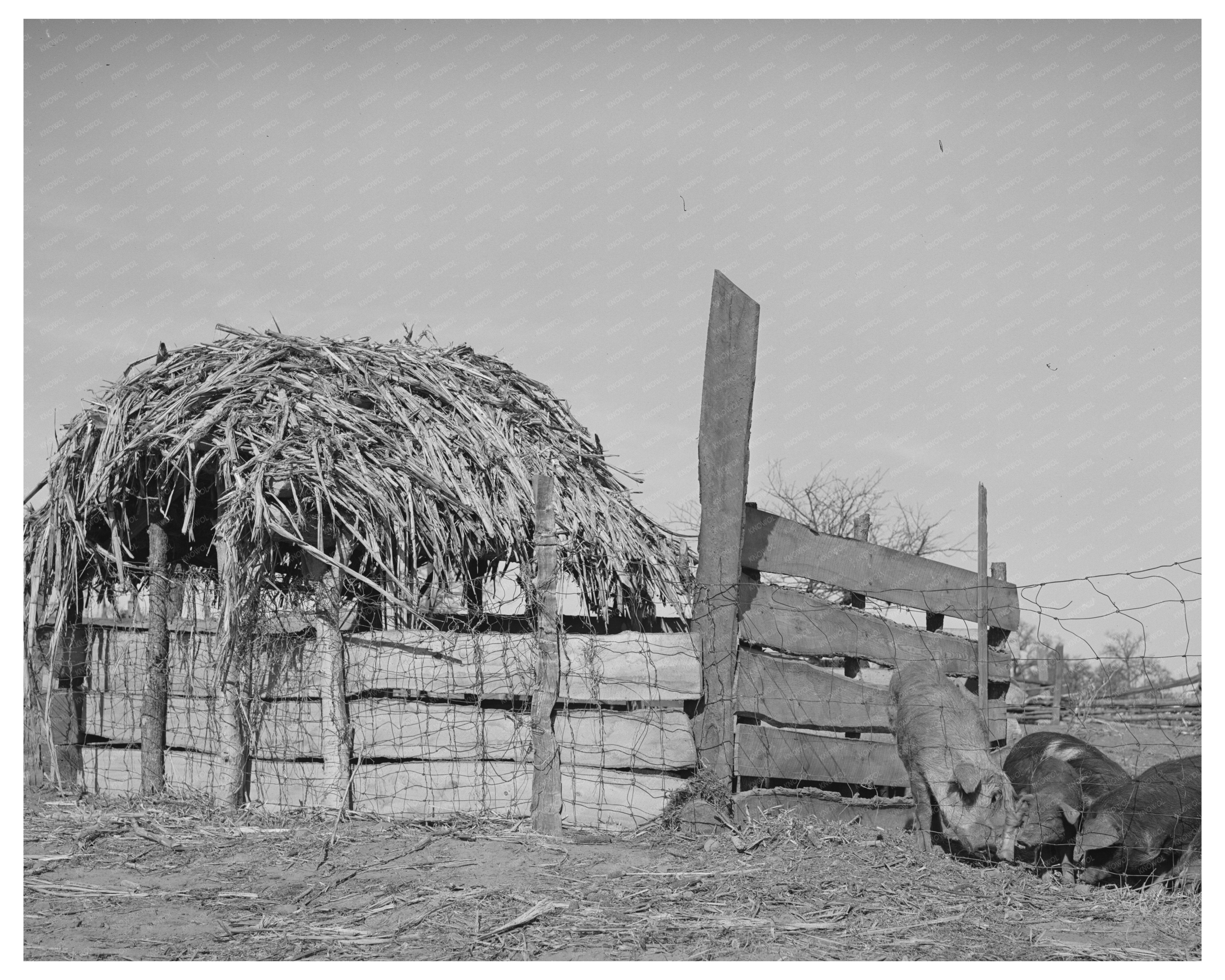 Hog Pen Corner on Pomp Halls Farm February 1944