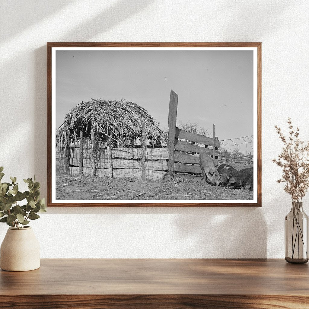 Hog Pen on Pomp Halls Farm Creek County Oklahoma 1944