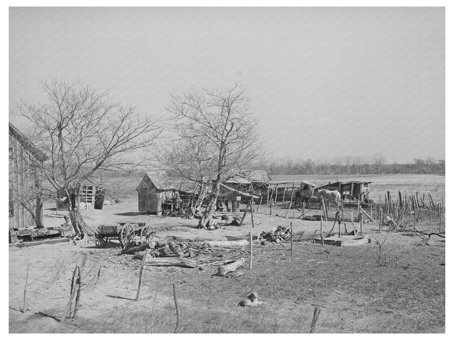 Farmyard Scene McIntosh County Oklahoma February 1940