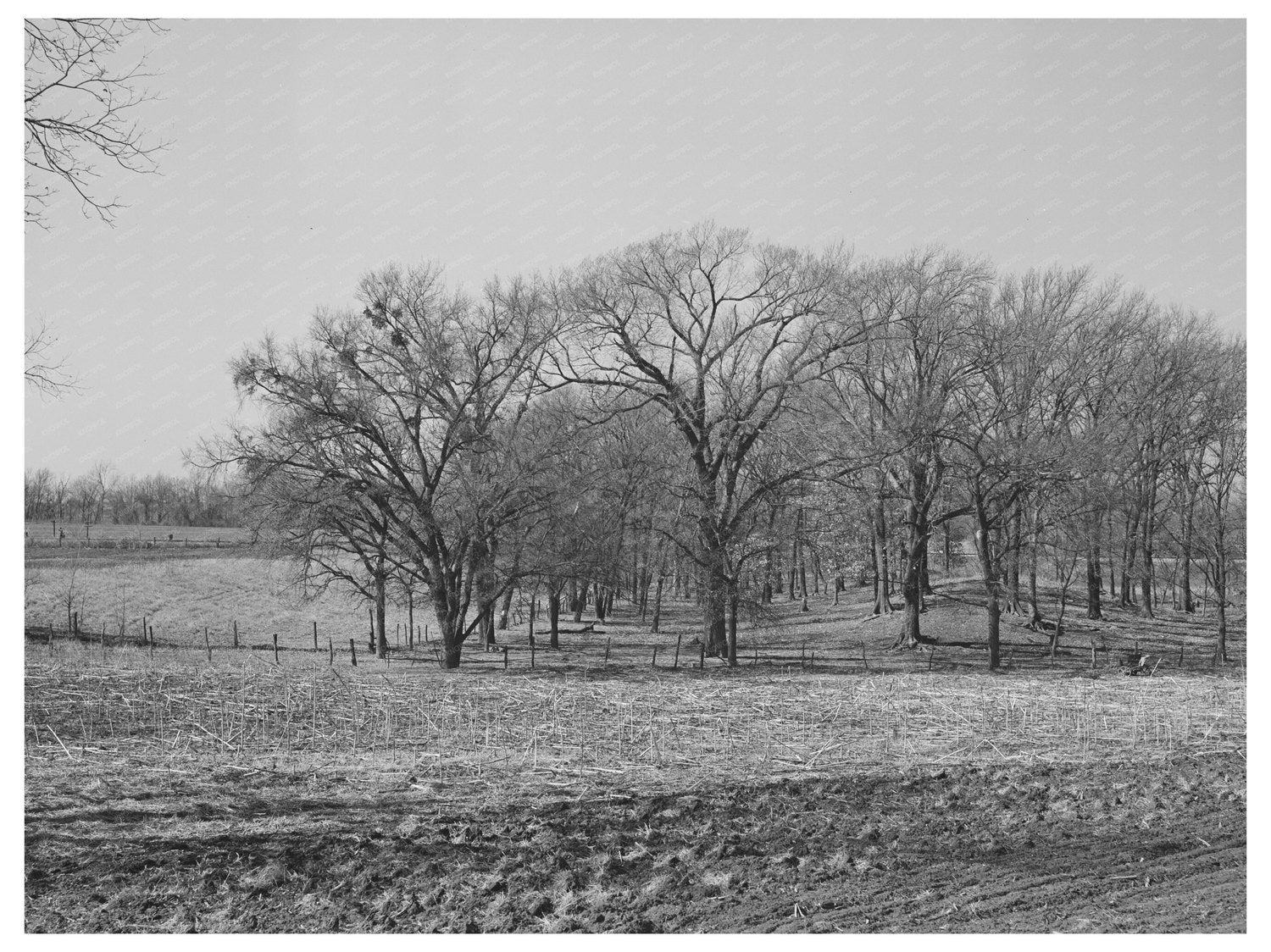 McIntosh County Oklahoma Landscape February 1940 Photo